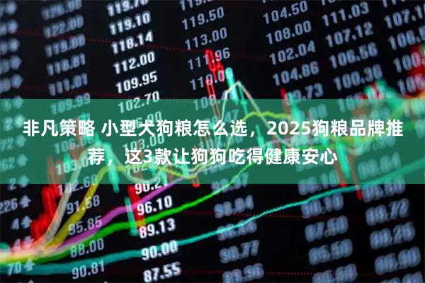 非凡策略 小型犬狗糧怎么選，2025狗糧品牌推薦，這3款讓狗狗吃得健康安心