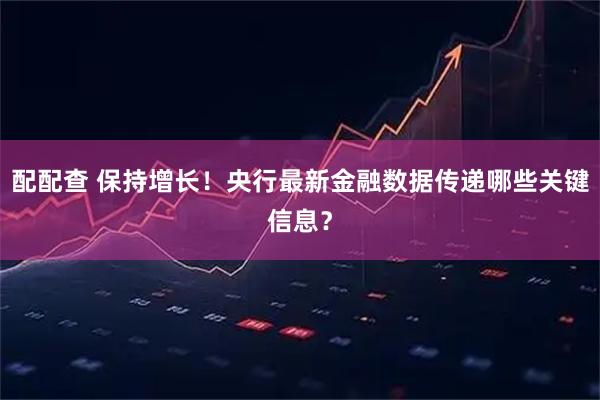 配配查 保持增長！央行最新金融數據傳遞哪些關鍵信息？