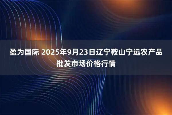 盈為國際 2025年9月23日遼寧鞍山寧遠農產品批發市場價格行情
