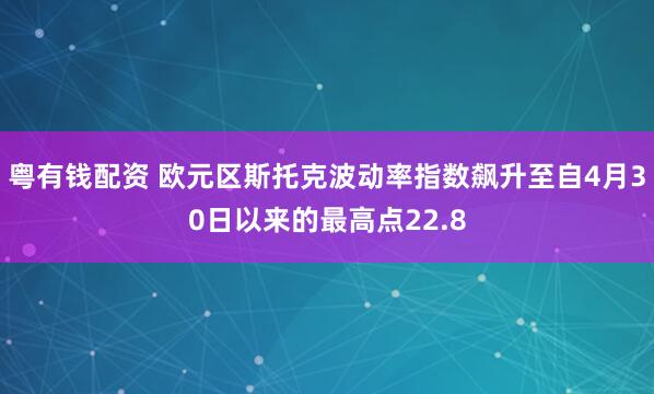粵有錢配資 歐元區斯托克波動率指數飆升至自4月30日以來的最高點22.8